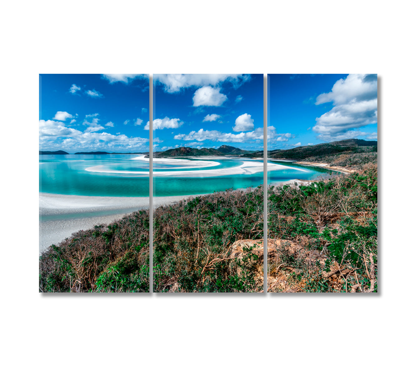 Australia Queensland Whitsunday Island Whitehaven Beach Canvas Print-Canvas Print-CetArt-3 Panels-36x24 inches-CetArt