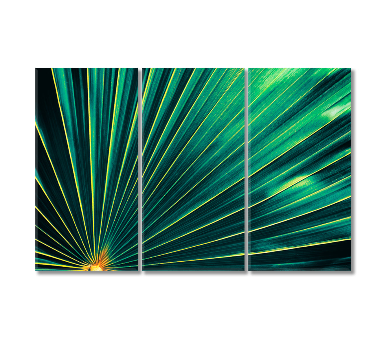 Tropical Palm Leaves Canvas Print-Canvas Print-CetArt-3 Panels-36x24 inches-CetArt
