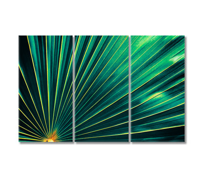 Tropical Palm Leaves Canvas Print-Canvas Print-CetArt-3 Panels-36x24 inches-CetArt
