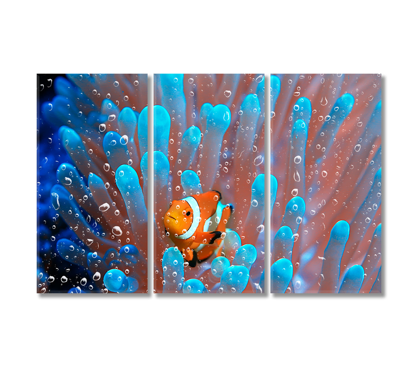 Coral Reef Underwater Clownfish in Anemone Canvas Print-Canvas Print-CetArt-3 Panels-36x24 inches-CetArt
