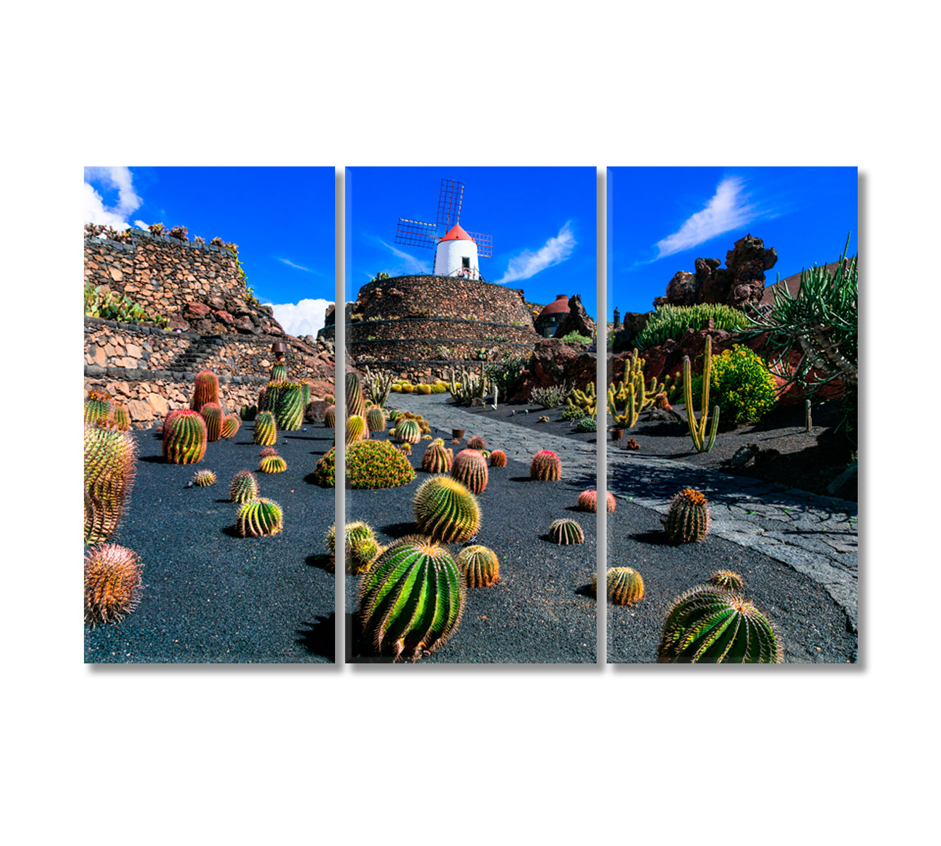 Lanzarote Island Botanical Cactus Garden Canary Islands Canvas Print-Canvas Print-CetArt-3 Panels-36x24 inches-CetArt