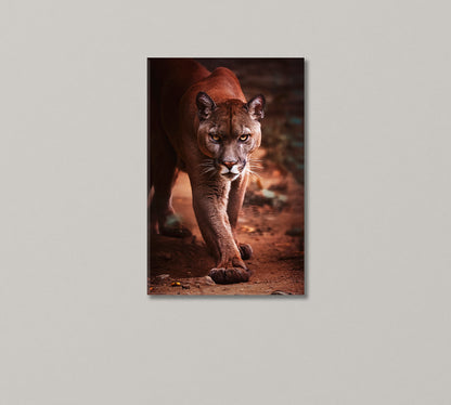 American Puma Canvas Print-Canvas Print-CetArt-1 panel-16x24 inches-CetArt