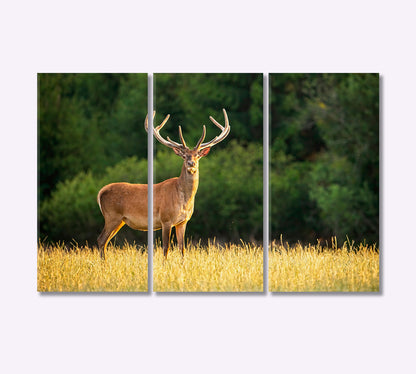 Deer in the Field Canvas Print-Canvas Print-CetArt-3 Panels-36x24 inches-CetArt