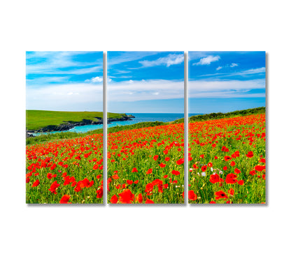 Wildflowers Field with Poppies Canvas Print-Canvas Print-CetArt-3 Panels-36x24 inches-CetArt
