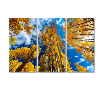Yellow Aspen Trees in Autumn Colorado Canvas Print-Canvas Print-CetArt-3 Panels-36x24 inches-CetArt