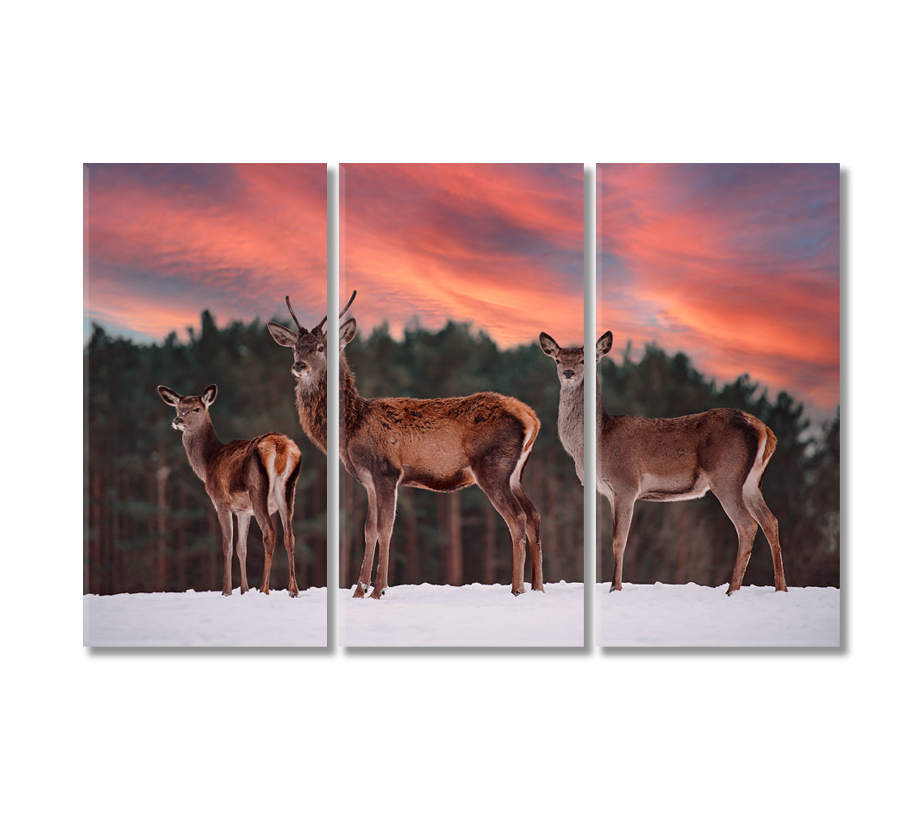 Deer in Winter Forest Canvas Print-Canvas Print-CetArt-3 Panels-36x24 inches-CetArt