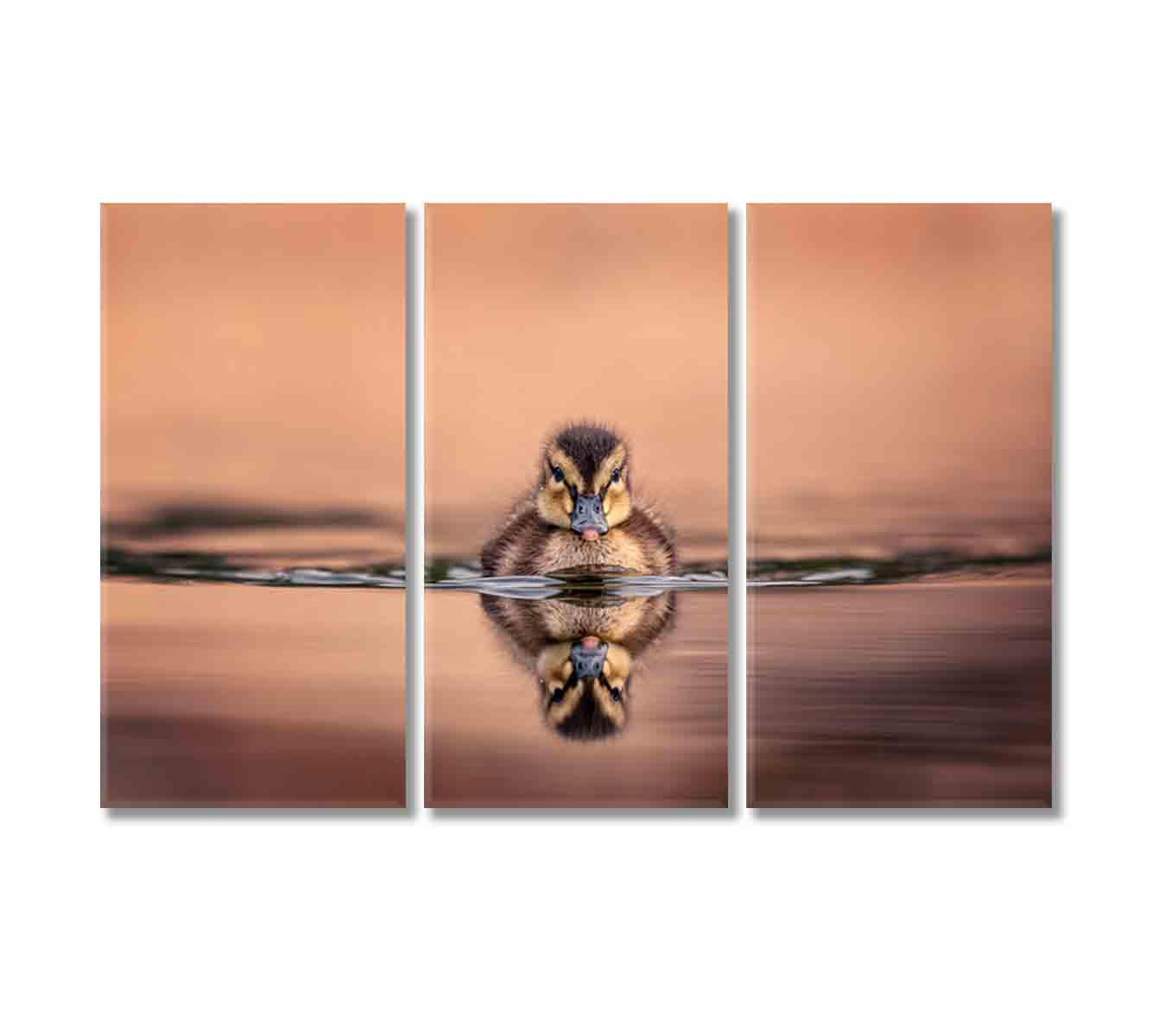 Amazing View Cute Duckling On Lake Canvas Print-Canvas Print-CetArt-3 Panels-36x24 inches-CetArt