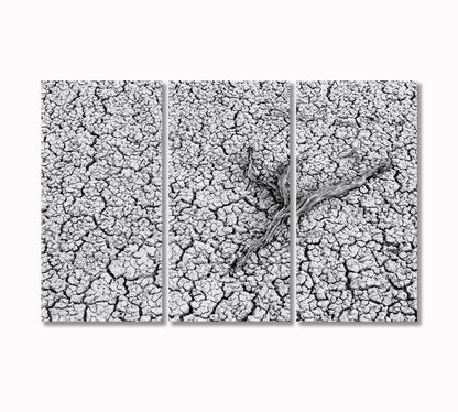 Dry Branch on Cracked Ground Canvas Print-Canvas Print-CetArt-3 Panels-36x24 inches-CetArt