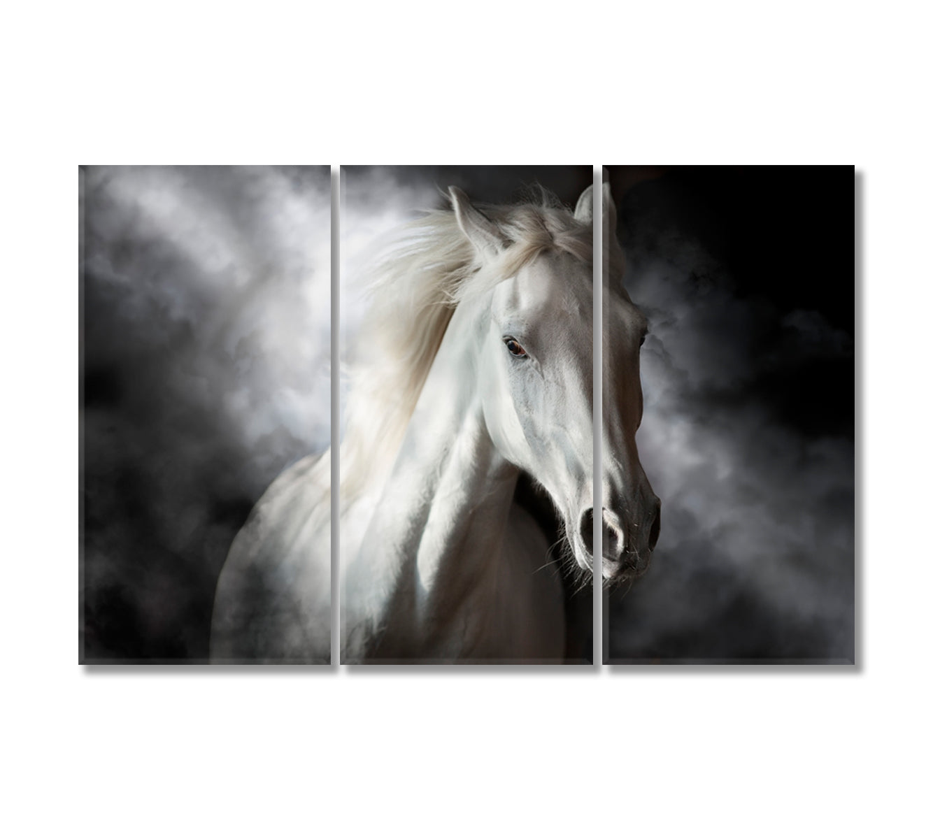 White Horse in Mist Canvas Print-Canvas Print-CetArt-3 Panels-36x24 inches-CetArt