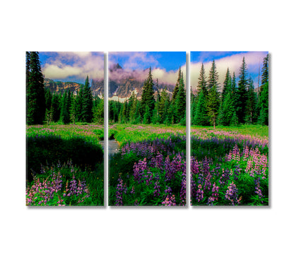 Canyon Creek Meadow and Three Fingered Jack Mountain Oregon Canvas Print-Canvas Print-CetArt-3 Panels-36x24 inches-CetArt