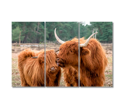 Beautiful Highland Cow Cattle with Calf Canvas Print-Canvas Print-CetArt-3 Panels-36x24 inches-CetArt