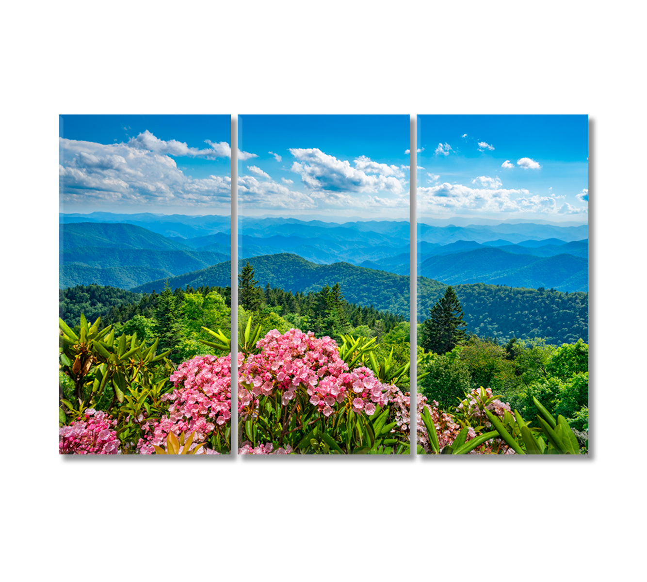 Smoky Mountains from Blue Ridge Parkway Blue Ridge Mountains North Carolina Canvas Print-Canvas Print-CetArt-3 Panels-36x24 inches-CetArt