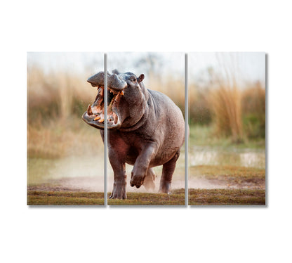 Wild Aggressive Hippopotamus Africa Canvas Print-Canvas Print-CetArt-3 Panels-36x24 inches-CetArt
