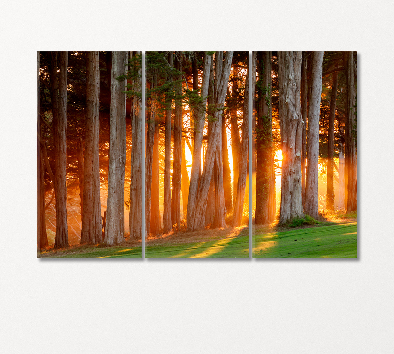 Sunset Sun Rays Breaking Through Trees Canvas Print-Canvas Print-CetArt-3 Panels-36x24 inches-CetArt