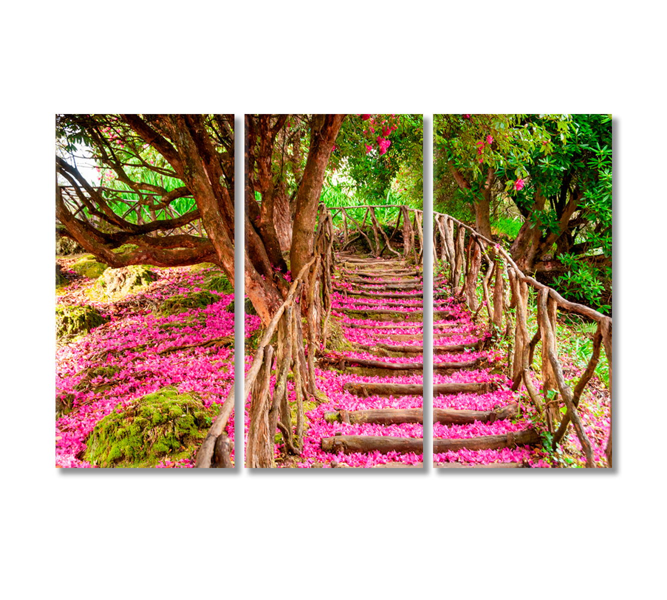 Trail Covered in Pink Leaves Canvas Print-Canvas Print-CetArt-3 Panels-36x24 inches-CetArt