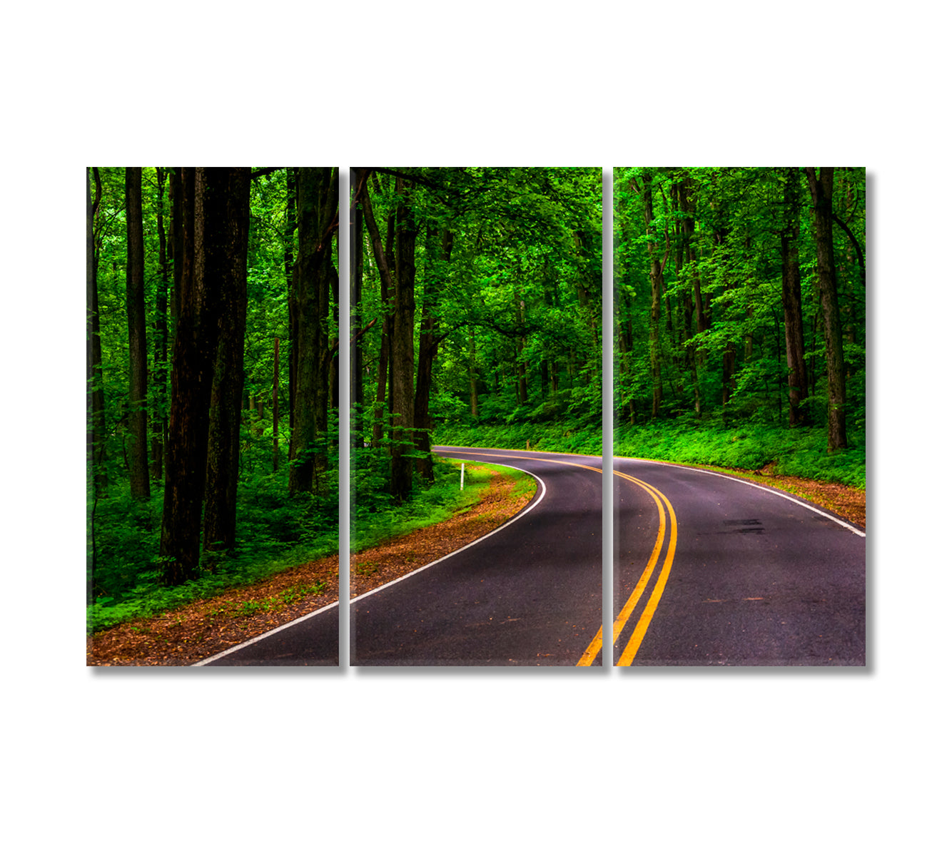 Skyline Drive in Shenandoah National Park Virginia Canvas Print-Canvas Print-CetArt-3 Panels-36x24 inches-CetArt