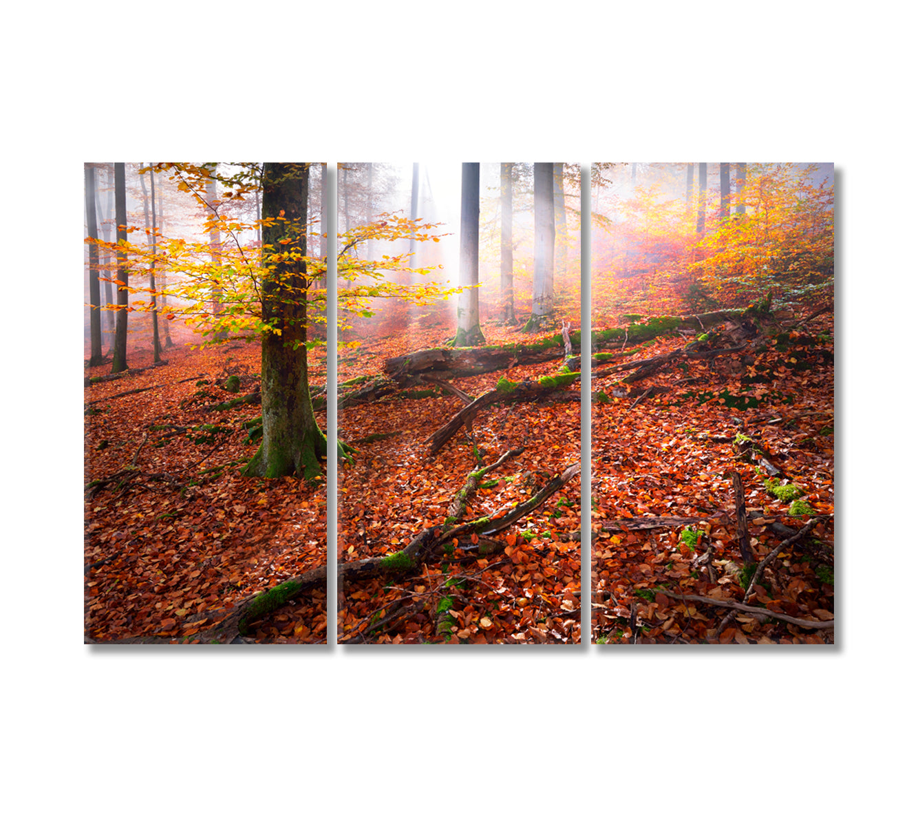 Fairy Autumn Forest with Red Leaves Canvas Print-Canvas Print-CetArt-3 Panels-36x24 inches-CetArt