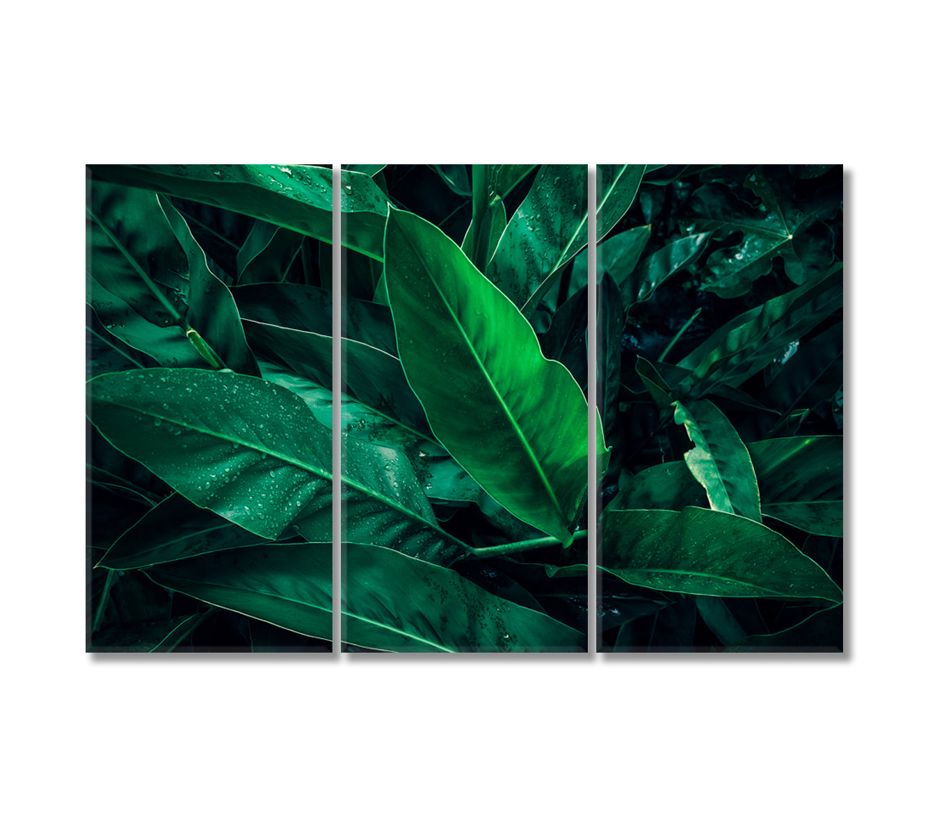 Large Tropical Leaf with Water Drops Canvas Print-Canvas Print-CetArt-3 Panels-36x24 inches-CetArt