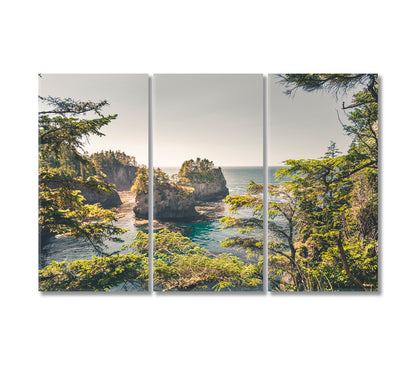 Cape Flattery Landscape Washington State USA Canvas Print-Canvas Print-CetArt-3 Panels-36x24 inches-CetArt
