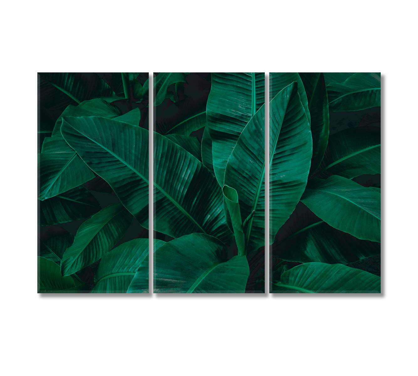 Abstract Tropical Banana Leaf Canvas Print-Canvas Print-CetArt-3 Panels-36x24 inches-CetArt