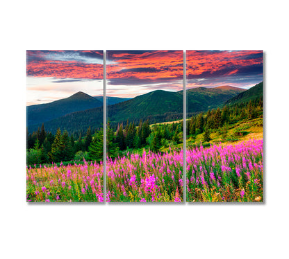 Flower Field near Mountains Canvas Print-Canvas Print-CetArt-3 Panels-36x24 inches-CetArt
