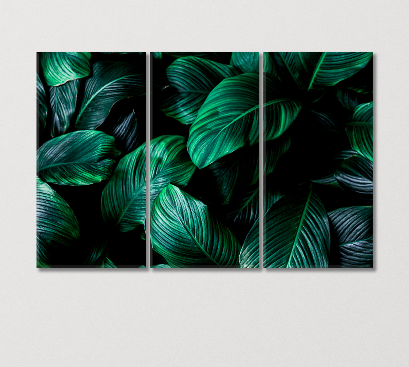 Big Green Tropical Leaf Canvas Print-Canvas Print-CetArt-3 Panels-36x24 inches-CetArt