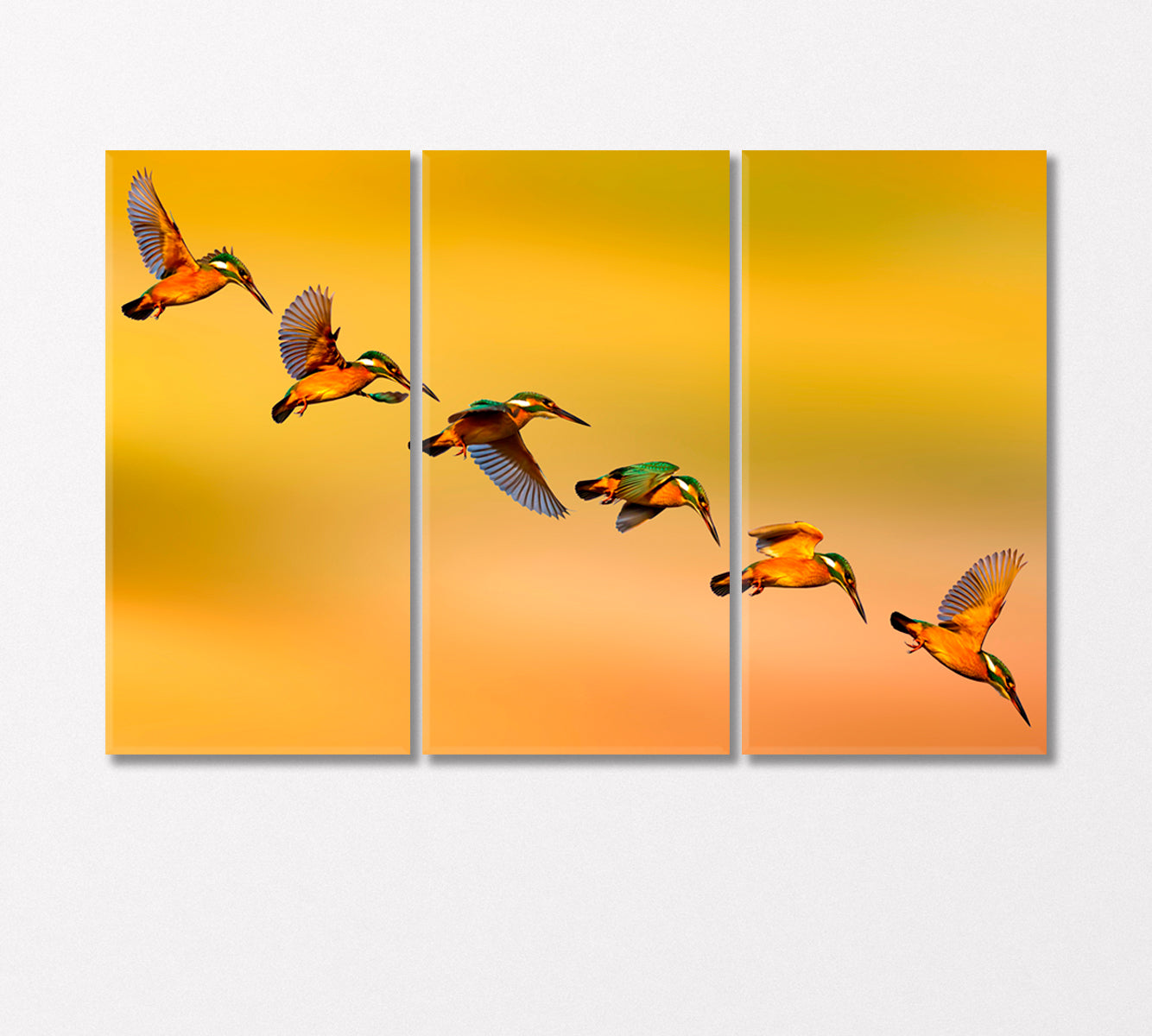 Сolorful Birds Kingfishers Canvas Print-Canvas Print-CetArt-3 Panels-36x24 inches-CetArt