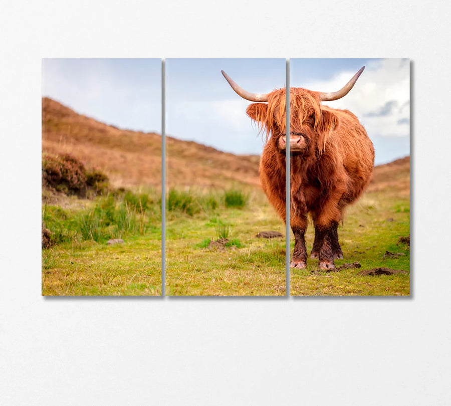Three-panel Highland cow canvas set — warm neutrals for a farmhouse living room
