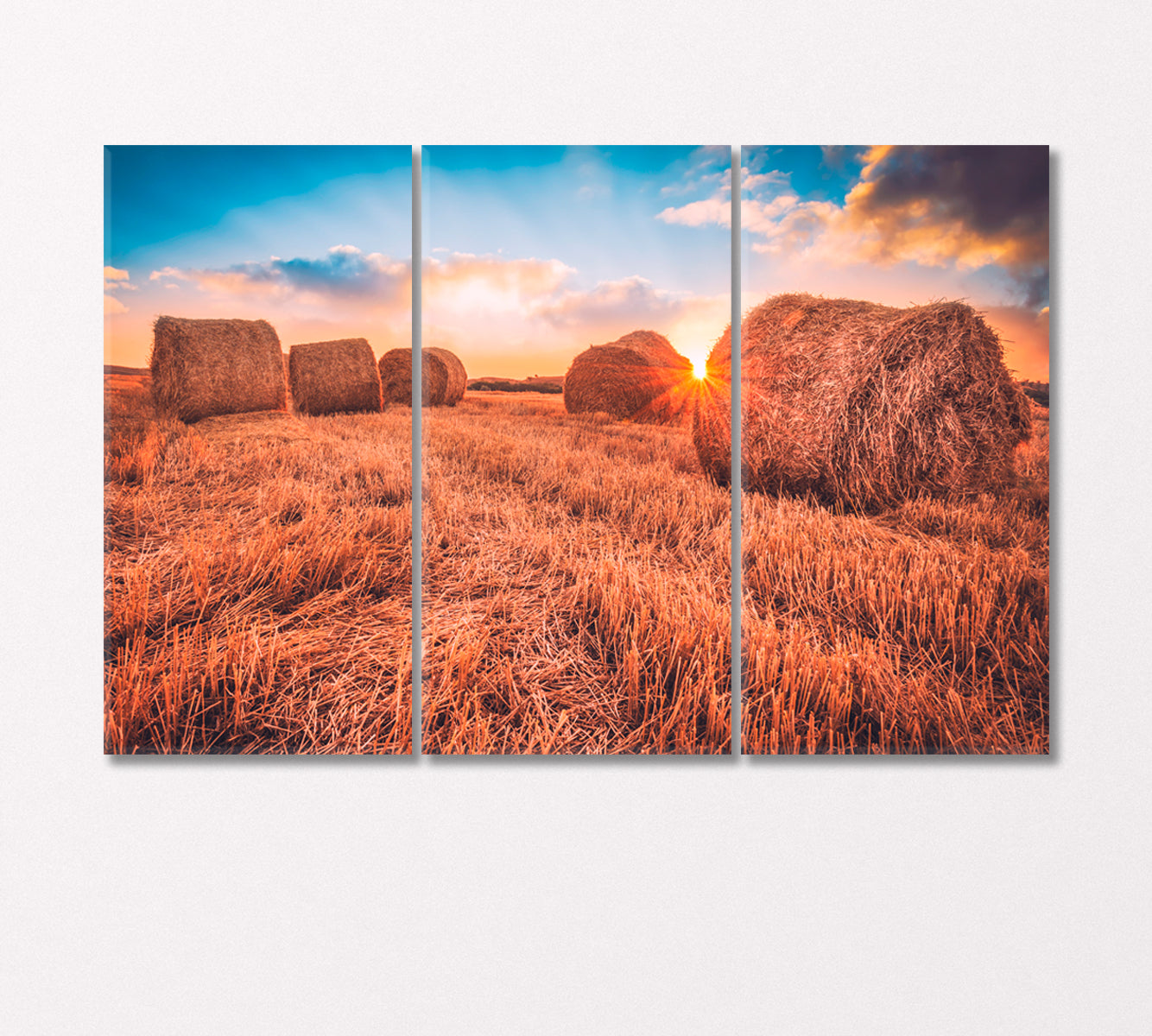 Hay Bales in Field Canvas Print-Canvas Print-CetArt-3 Panels-36x24 inches-CetArt