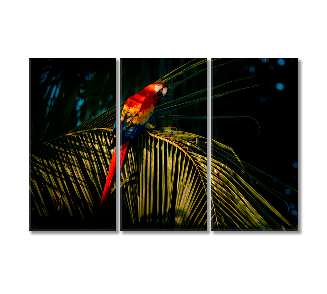 Macaw Parrot on Palm Leaf Canvas Print-Canvas Print-CetArt-3 Panels-36x24 inches-CetArt