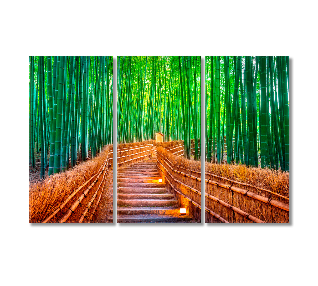 Bamboo Forest Kyoto Japan Canvas Print-Canvas Print-CetArt-3 Panels-36x24 inches-CetArt