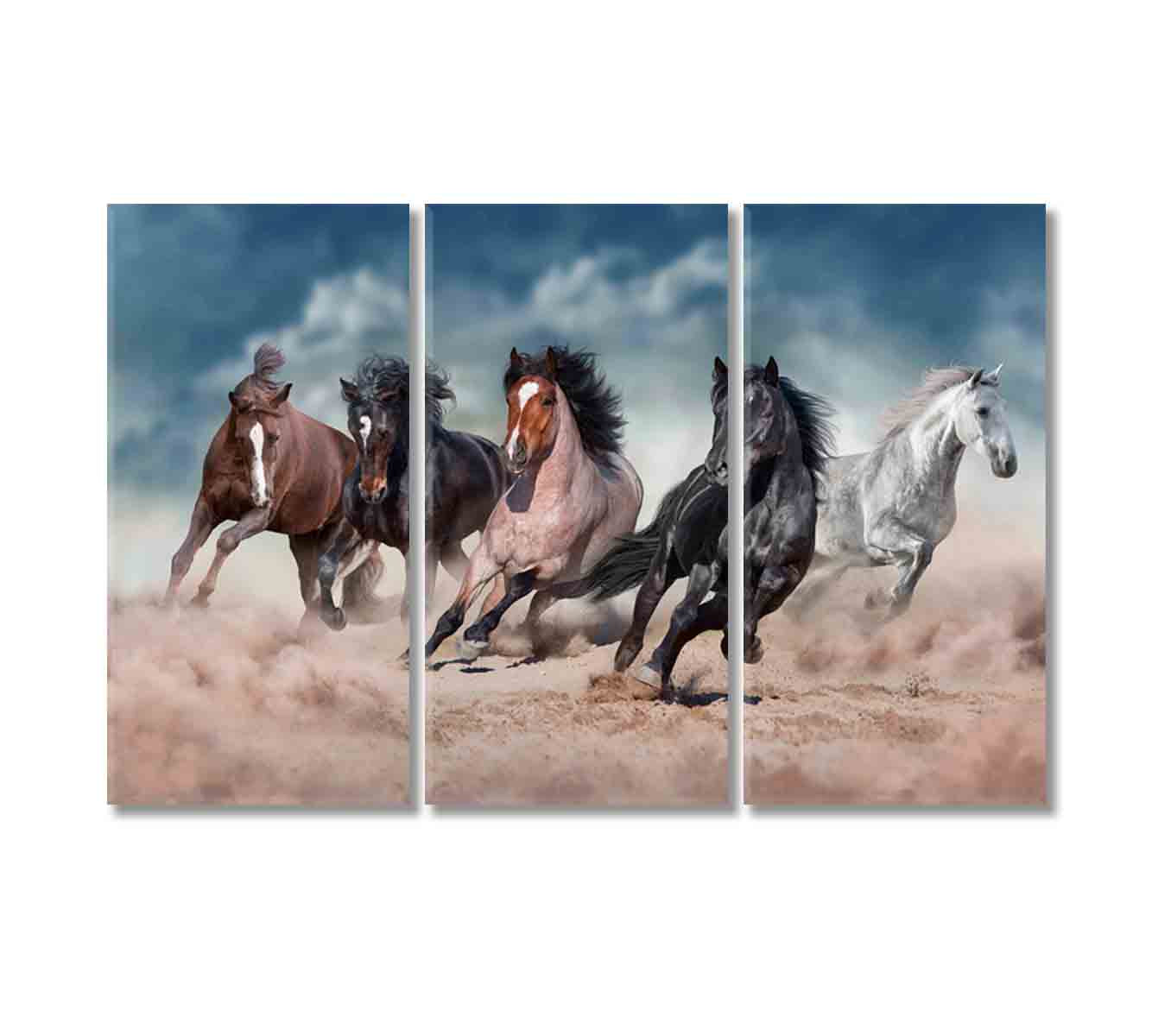 Beautiful Strong Horses Running in Desert Canvas Print-Canvas Print-CetArt-3 Panels-36x24 inches-CetArt