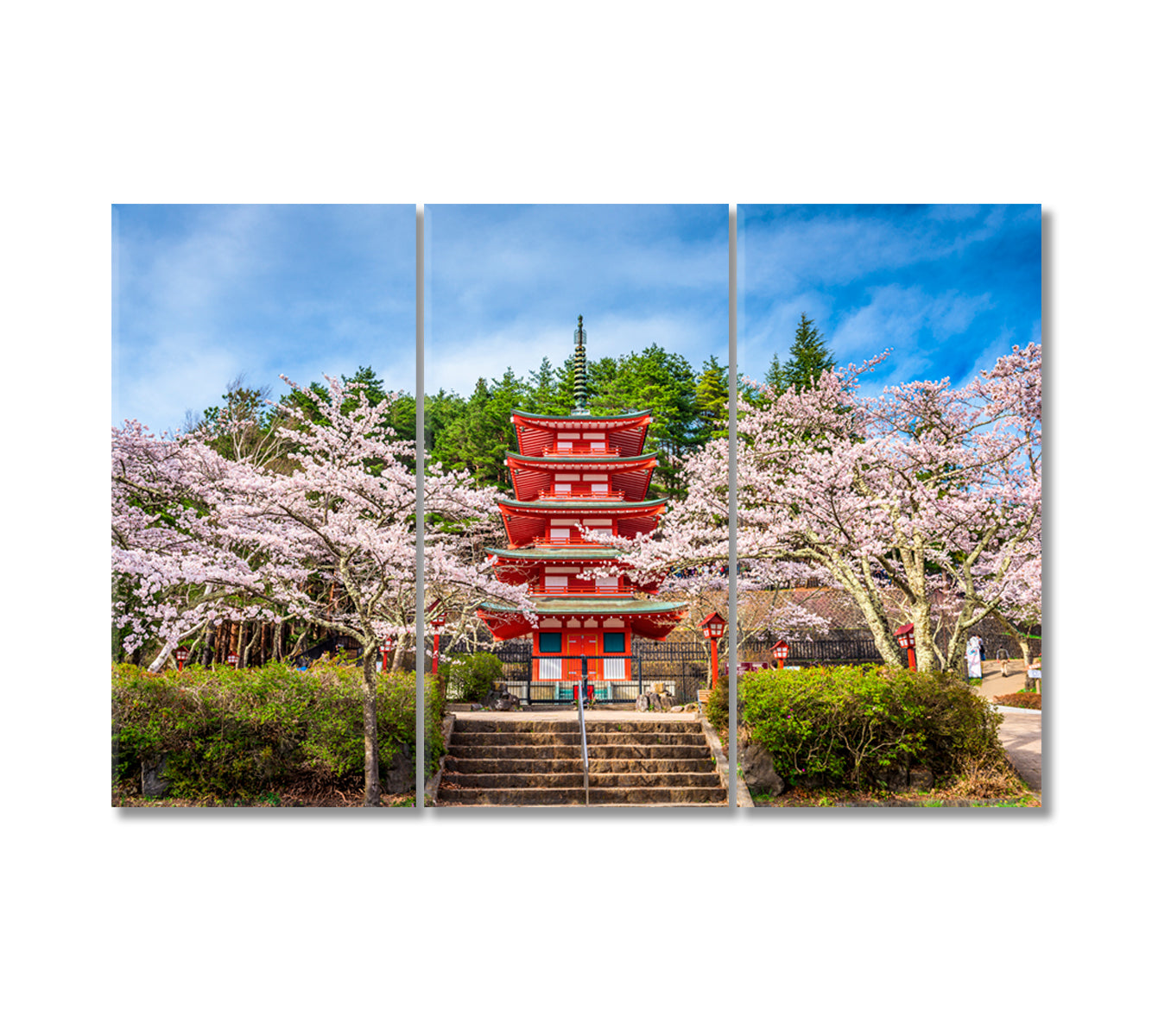 Chureito Pagoda in Arakurayama Sengen Park Japan Canvas Print-Canvas Print-CetArt-3 Panels-36x24 inches-CetArt