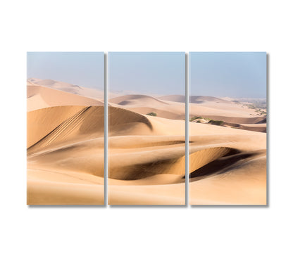 Namib Desert Canvas Print-Canvas Print-CetArt-3 Panels-36x24 inches-CetArt