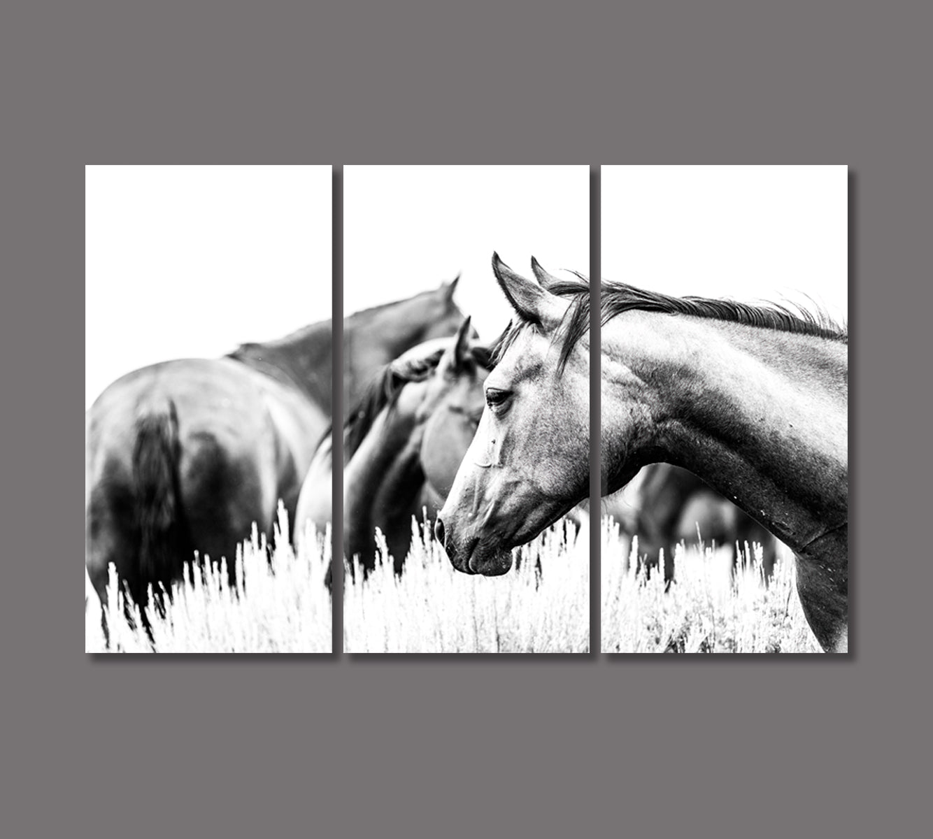 Herd of Horses in Black and White Canvas Print-Canvas Print-CetArt-3 Panels-36x24 inches-CetArt