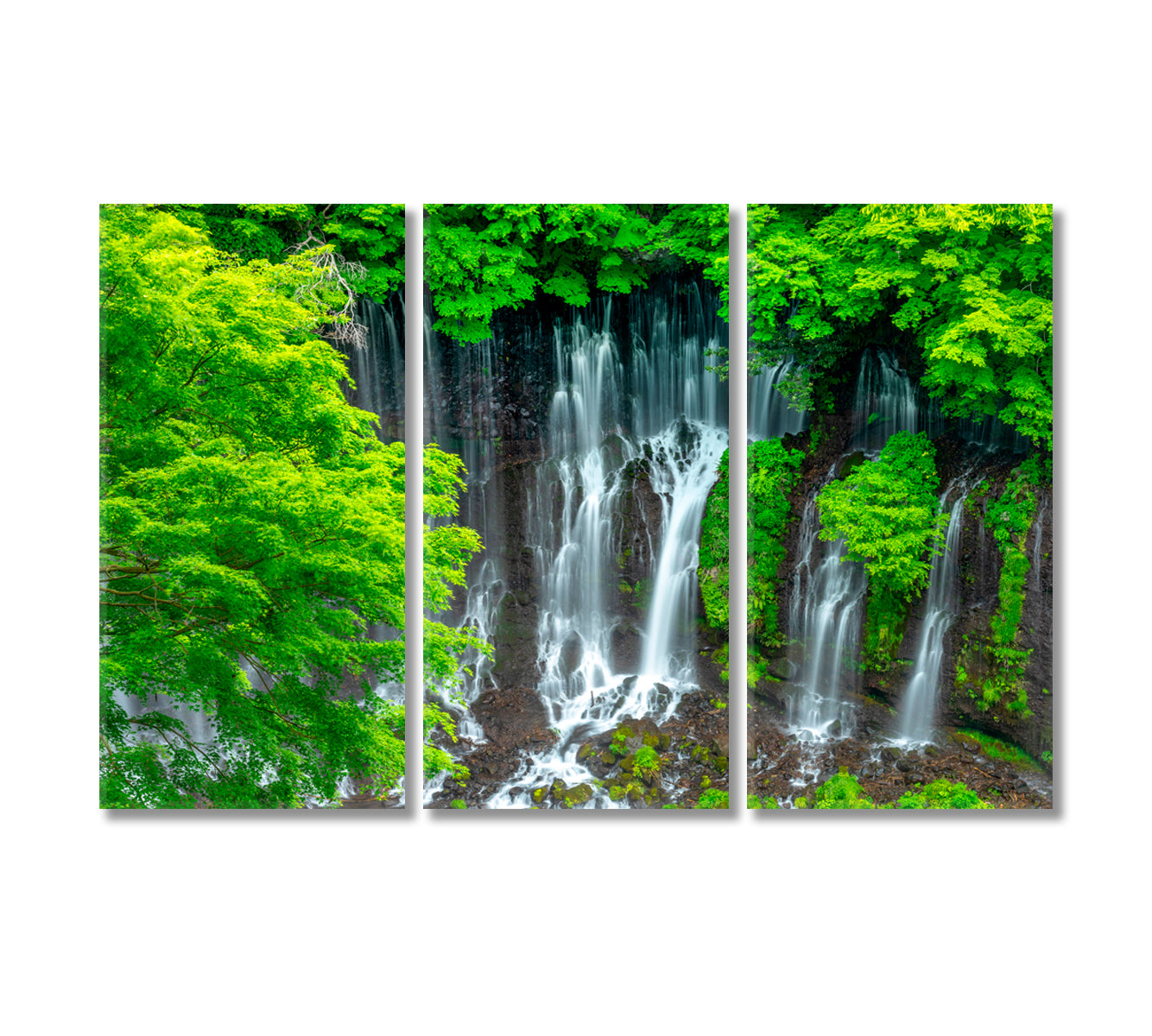 Shiraito Waterfall Japan Canvas Print-Canvas Print-CetArt-3 Panels-36x24 inches-CetArt