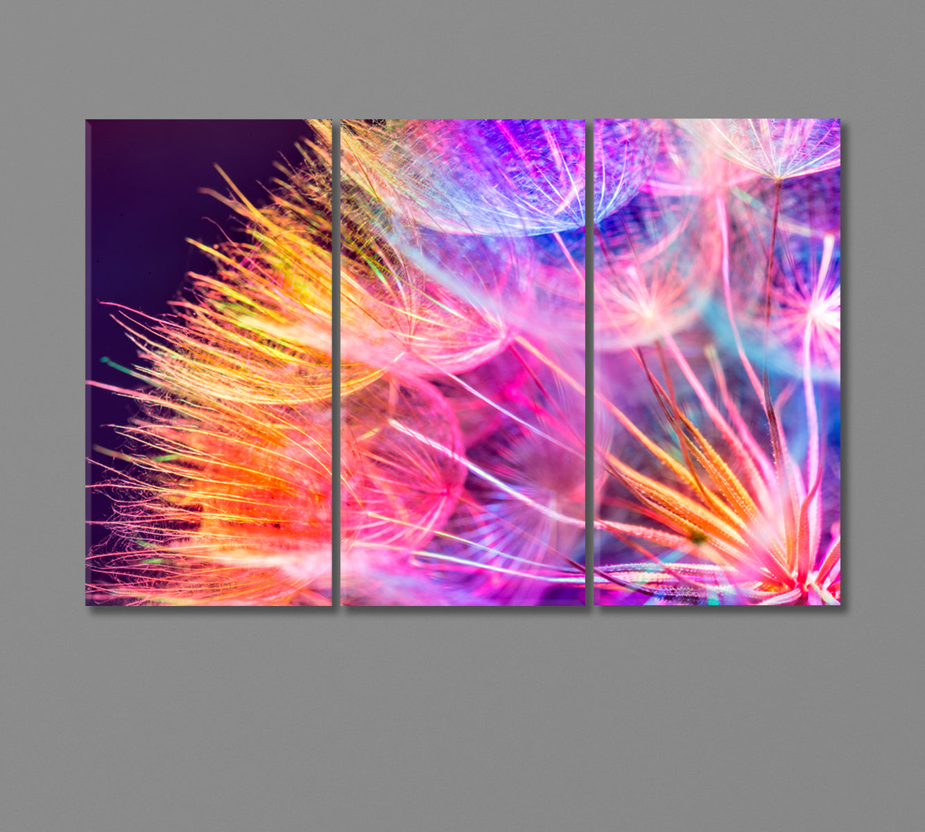 Vivid Abstract Dandelion Flower Canvas Print-Canvas Print-CetArt-3 Panels-36x24 inches-CetArt