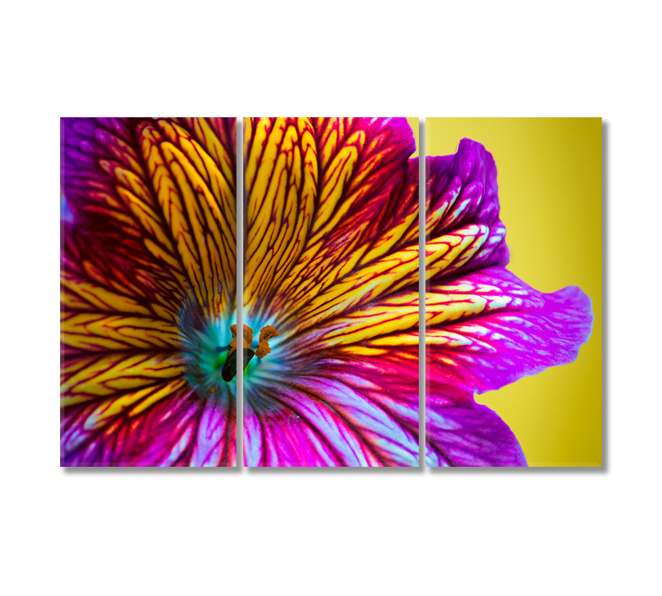 Purple and Yellow Flower Canvas Print-Canvas Print-CetArt-3 Panels-36x24 inches-CetArt