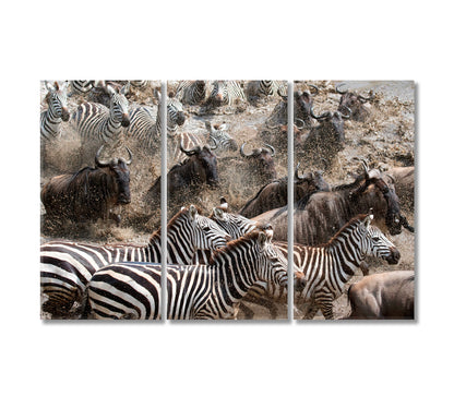 Wild Zebra and Wildebeest Migration Canvas Print-Canvas Print-CetArt-3 Panels-36x24 inches-CetArt