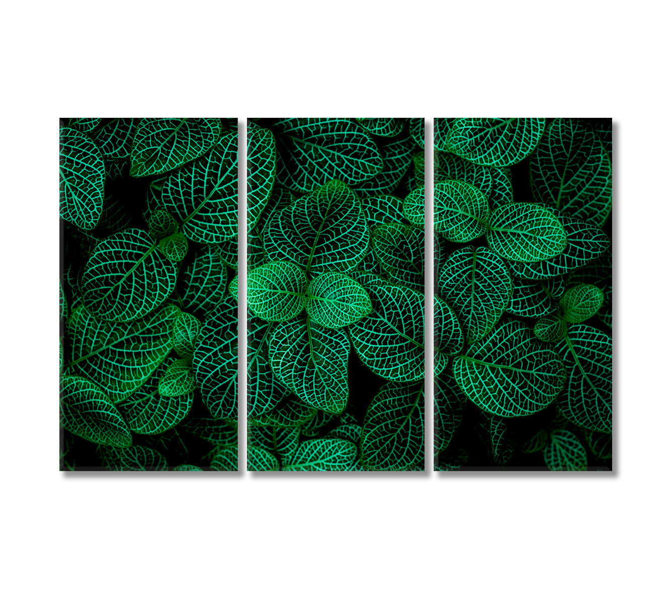Beautiful Abstract Green Leaves Canvas Print-Canvas Print-CetArt-3 Panels-36x24 inches-CetArt