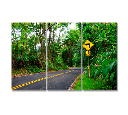 Road to Hana Through Tropical Rainforest Maui Hawaii Canvas Print-Canvas Print-CetArt-3 Panels-36x24 inches-CetArt