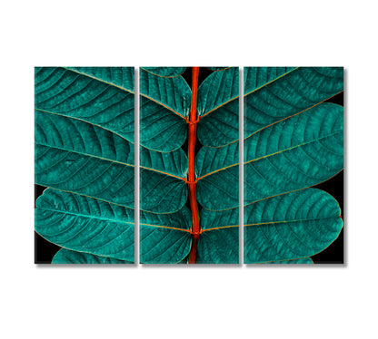 Beautiful Green Leaves Close Up Canvas Print-Canvas Print-CetArt-3 Panels-36x24 inches-CetArt