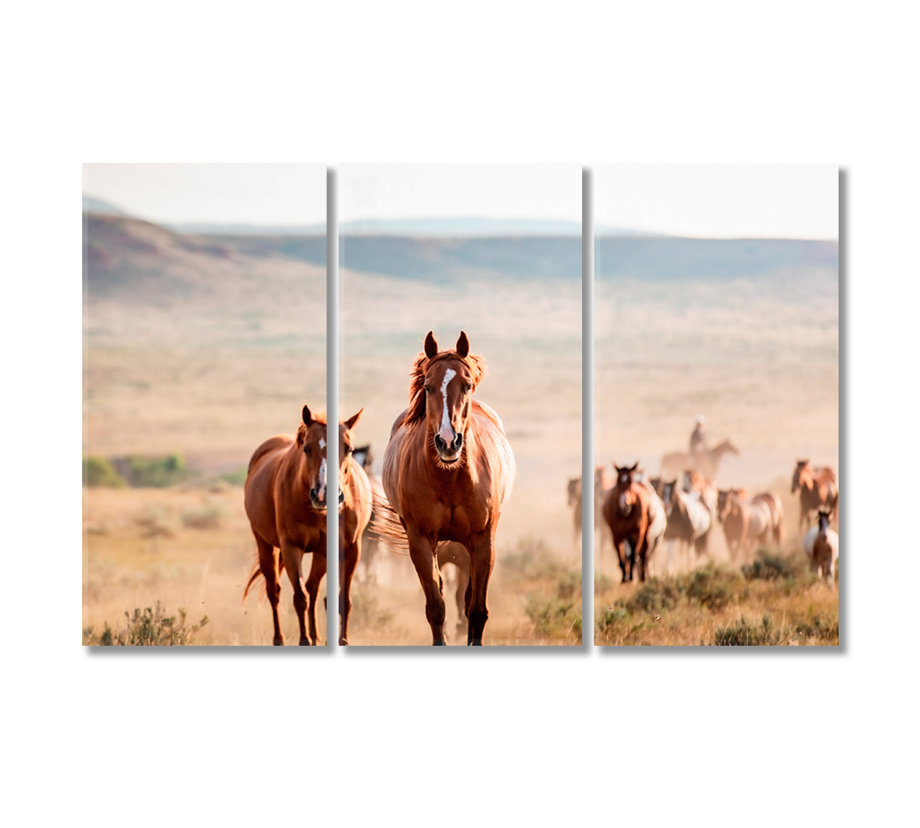 Pryor Mountain Horses Canvas Print-Canvas Print-CetArt-3 Panels-36x24 inches-CetArt