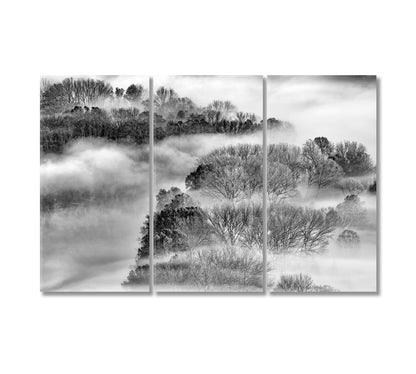 Foggy Forest Canvas Print-Canvas Print-CetArt-3 Panels-36x24 inches-CetArt