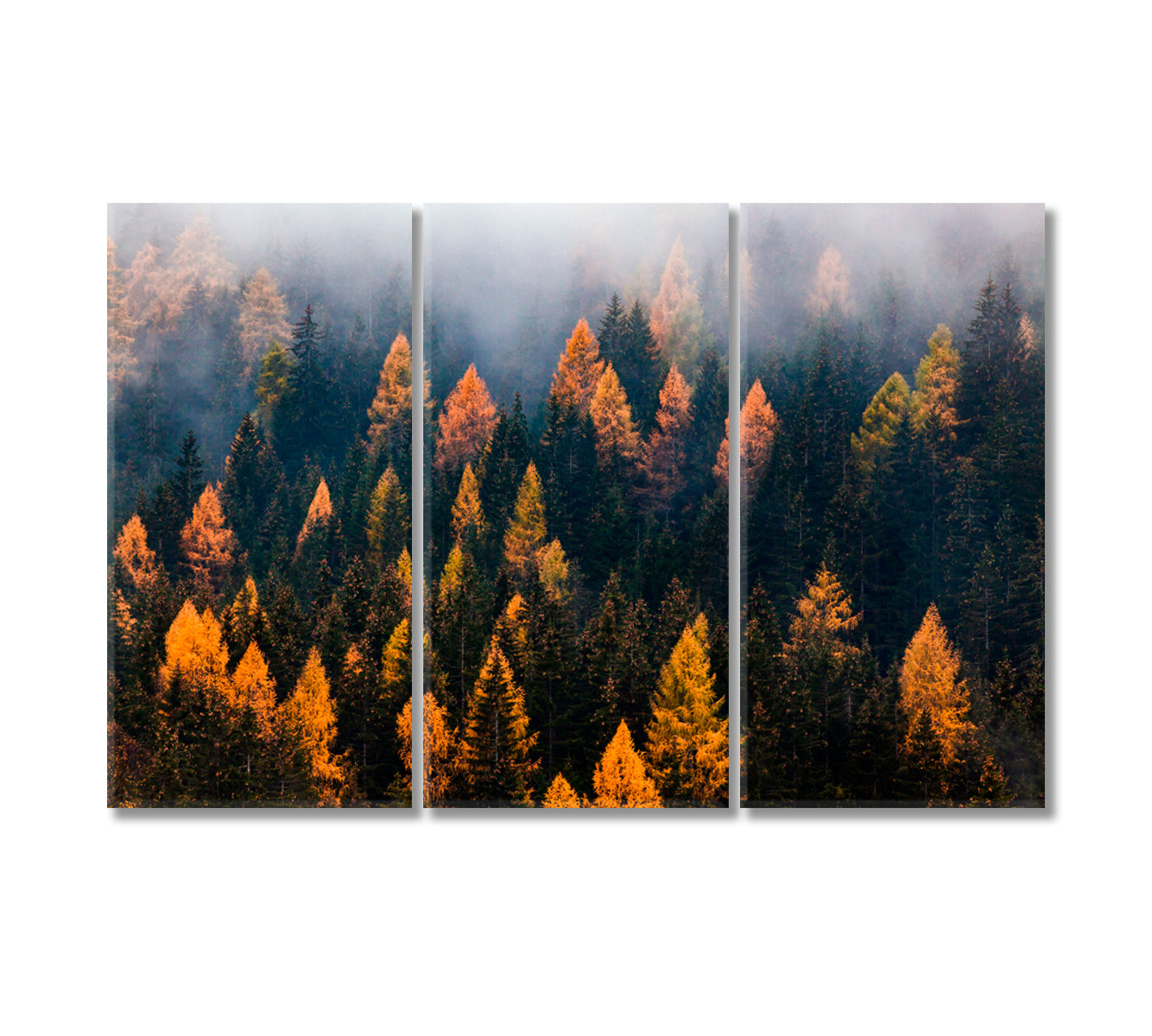 Autumn Forest in Fog Canvas Print-Canvas Print-CetArt-3 Panels-36x24 inches-CetArt