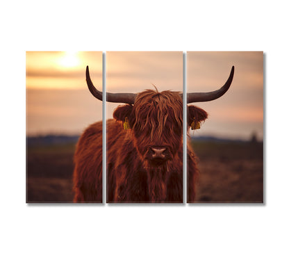 Scottish Highland Cattle Canvas Print-Canvas Print-CetArt-3 Panels-36x24 inches-CetArt