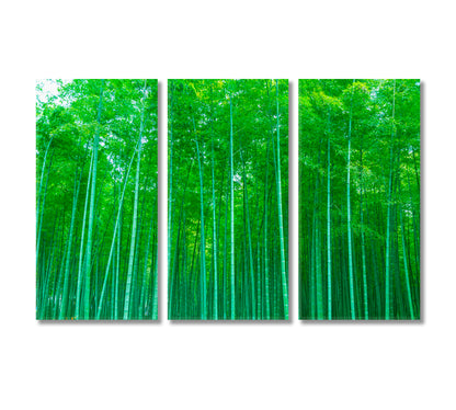 Dense Bamboo Forest Canvas Print-Canvas Print-CetArt-3 Panels-36x24 inches-CetArt