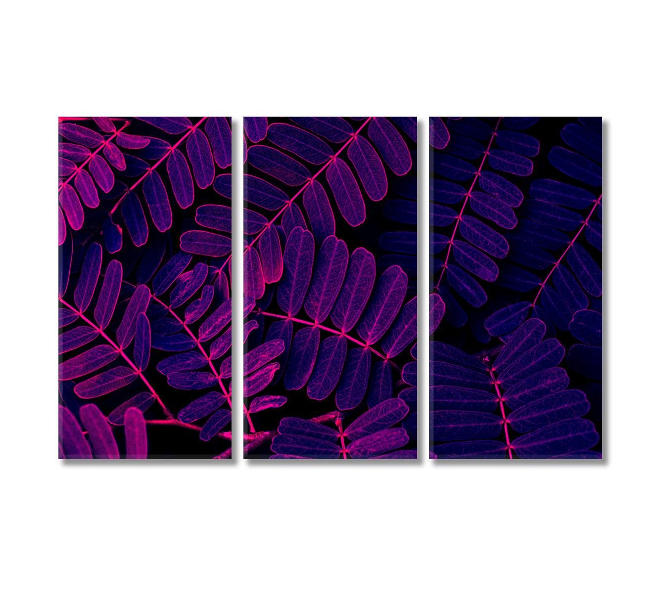 Purple Leaves Canvas Print-Canvas Print-CetArt-3 Panels-36x24 inches-CetArt