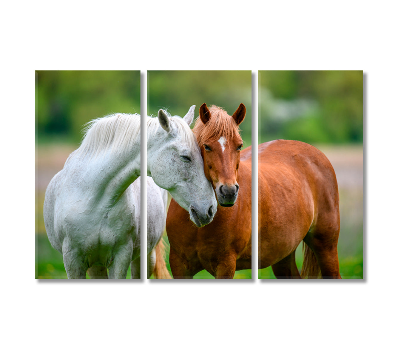 Two Lovely Horses Canvas Print-Canvas Print-CetArt-3 Panels-36x24 inches-CetArt