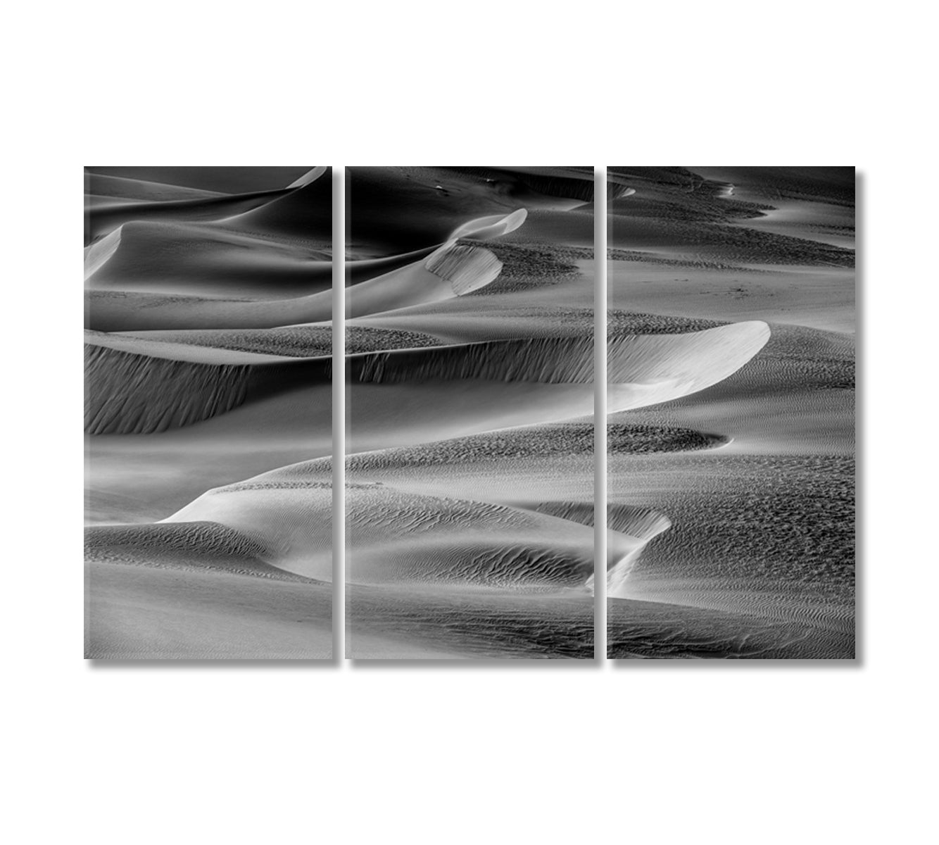 Desert in Black and White Canvas Print-Canvas Print-CetArt-3 Panels-36x24 inches-CetArt